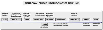 Neuronal Ceroid Lipofuscinosis: The Multifaceted Approach to the Clinical Issues, an Overview